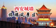 奸淫骚B中国陕西-西安城墙旅游风景区